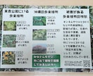 中学２年生の息子が心を込めてチラシを作成します 皆さんのアドバイスを頂きながらチャレンジさせてください。 イメージ2