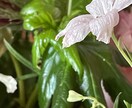 こころ穏やかな生活を作る自己管理を伝受します 借金があってもできる範囲で幸せに。まずは生活の見直しを。 イメージ1