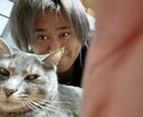 TOEIC280→900の日本人が英語教えます 低得点者の気持ちや考え方がわかる個人にあった教え方可能 イメージ1