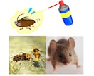 あらゆる害虫対策・ネズミ対策お答えします 害虫やネズミでお困りの方にプロがサポートします！ イメージ1