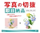 写真の切抜　即日対応いたします サクッと丸投げ！すぐ欲しいに応えます！ イメージ1