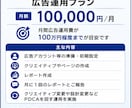 ベーシック広告運用プランます 月間広告運用費が100万円程度までの規模感が目安 イメージ2