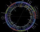 あなたの性格を言語化します 星が映すあなたの姿ーつまずきポイント言語化ー イメージ1