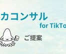 TikTok運用のお悩みを解決します ビデオチャットでTikTok運用の相談に乗ります イメージ2