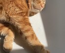 男性限定♡どんなお話でも何でも受け止めます 愚痴/お悩み/NGなし/気軽に話しましょう イメージ3