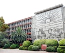南山大学総合政策学科の合格志望理由書をみせます 南山大学総合政策学科に受かる志望理由書を学ぼう！ イメージ1