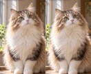 ボケたり低解像度の画像・古いお写真、高画質化します 【1000円で2枚まで】傷や破れもOK！小さな画像も鮮明に。 イメージ4