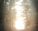 写真撮ります 撮影依頼、写真提供依頼お受け致します。 イメージ1