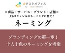 5月も受付中！由来ある『ネーミング』を提案します 商品・サービス・ブランドなどに対応！丁寧に考案します。 イメージ1