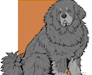 愛犬の個性が伝わる似顔絵イラストを描きます 写真から世界にひとつの愛犬アートを制作 イメージ1