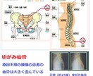 腰痛・肩こり・外傷後の後療法など相談にのります 病院や接骨院など通院時間がない方必見 イメージ1