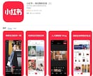 中国版インスタ「小紅書」のアカウントの制作します 集客しやすいIPの設定も手伝い致します！ イメージ4