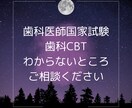 歯科医師国試、CBTの苦手なところ教えます チャットでゆっくり考えながら参りましょう! イメージ1