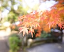 本気で結婚したいと頑張るあなたをサポートします 36歳でスピード婚をした女性が話を聞きます イメージ1