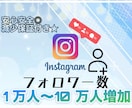 Instagramのフォロワー増えるまで宣伝します 1万人～10万人まで宣伝可能！減少保証付きで安全✨️ イメージ1