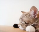 眠れないあなたのお話相手になります ねむれない～だれか話相手して！ってときにかけて♪ イメージ8