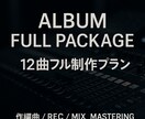 楽曲制作12曲セットで提供します アルバム制作を完全サポート。楽曲12曲セット（商用OK） イメージ1