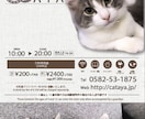 高品質なチラシデザイン作成します ポートフォリオ（各業種サンプル集）を残したい為、安価設定 イメージ1