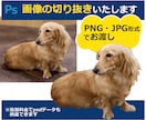 商品画像や人物背景を単色・透過に！丁寧に切抜きます 画像切抜10年以上！自動処理では難しい細部も丁寧に仕上げます イメージ1