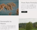 初めてでも安心○売れるShopifyサイト作ります Shopifyパートナーがヒアリング納品まで丁寧に対応します イメージ4