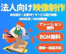 法人向け｜会社紹介・サービス紹介動画を作ります 【実績5件まで低価格】法人向けに企画・台本・編集まで対応。 イメージ1