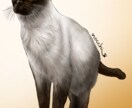 猫ちゃんの似顔絵、デフォルメなど作成します 似顔絵、かわいいイラスト、キャライラスト、人物など描きます イメージ8
