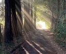 諦められない恋に|恋愛成就のための霊視鑑定をします 古代秘儀精霊術でどんな困難な状況からでも願望実現に導く イメージ2
