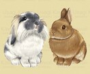 ペットさんの似顔絵をお描きします 大切なペットさんのお写真をもとに似顔絵をお描きいたします。 イメージ6