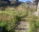 空き家の庭掃除！除草、庭木の剪定します 実家が！転勤で持ち家が！苦情が！を解決します。 イメージ5