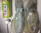 釣れない方必見！エギングでお悩みの方釣り方教えます エギングを始めたい方、なかなか釣れない方はどうぞ。 イメージ2