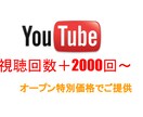 3名まで!Youtube再生回数伸ばします YouTube収益化への一歩!再生時間も伸びる! イメージ1