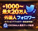 X・旧Twitterの外国人フォロワーを増加します X・旧Twitterフォロワー1000増加！ イメージ1