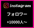 Instagramフォロワー＋１万人〜増やします 【安心安全の30日間保証付き】 イメージ1