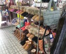 コロナ後を見据えて起業の準備します 起業の成功は場所と商品力（駅の構内/トレンド商品を用意） イメージ4