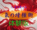 初回限定で【お試し】“氣の不足”を根本から変えます 不安・迷いを手放し自分軸を育てる。変化を体感できるチャンス！ イメージ1