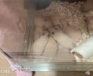 娘や息子の親子の距離に悩む方へ｜感情を整理します 言葉にならない親子のモヤモヤを、整理しましょ。 イメージ1