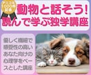 動物と話せるアニマルコミュニケーション講座します 感受性や共感力が高く優しい人向け＊瞑想なし＊HSPさんも納得 イメージ1
