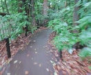 運気を総合的にみます 運気のサイクル、流れをみながら、ご質問100個まで回答します イメージ1