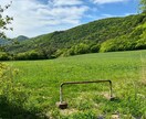 生活の中で撮れる自然な写真を提供ます 初心者ならではの自然な視点での写真です イメージ10