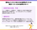 現役SNSマーケターがインスタを運用代行いたします 国内＆インバウンド向けにSNS運用を行っている現役マーケター イメージ2
