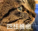 四柱推命であなたの悩みを解消します 的確なアドバイスでそっと後押しさせていただきます✧︎ イメージ1