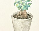 手描きでフードや植物のイラストを描きます 温もりのあるイラストで商品やお店のファンを増やしたい方へ イメージ2