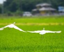 最強の他力、神様の力は活用してこそ意味があります 自分だけの絶対守護神が、「最強運」へと導く！ イメージ4