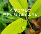 今話しましょ☆頑張ってるあなたの気持ちお聞きします 介護士が全力応援☆心の声に傾聴☘️愚痴☘️雑談☘️仕事☘️ イメージ9