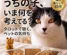 ペットの気持ちをタロットで読み解きます 猫と暮らして35年・保護猫3匹の60歳鑑定士が寄り添います イメージ1