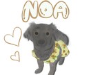 愛犬のイラスト描きます 大事な家族、わんちゃんのイラスト描きます! イメージ3