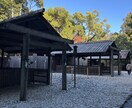 神宮別宮⭐︎月読宮への代理参拝承ります 神宮別宮への代理参拝です。ご縁感じた方は是非！！ イメージ1