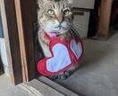 女性心理を一緒に読み解きます 女性の反応、その理由を整理します♪ イメージ10