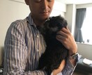 転職、キャリアに関するアドバイスします VUCA時代のキャリア形成のアドバイス。個性を活かします！ イメージ1
