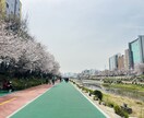 韓国留学のご相談承ります 韓国留学まるっと相談◎大学/語学堂/ワーホリ対応 イメージ9